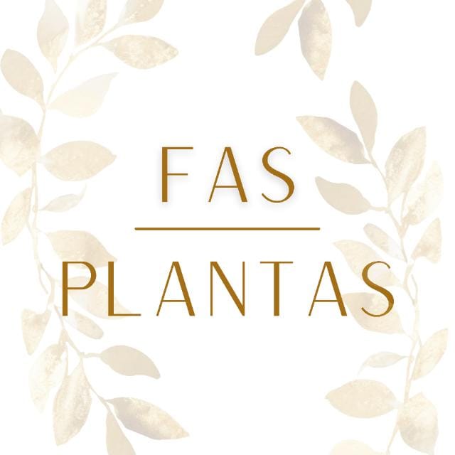 Floricultura Fas Plantas