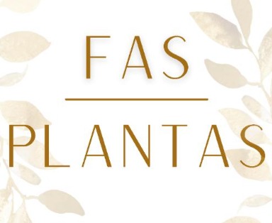 Floricultura FAS PLANTAS